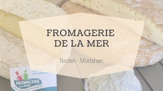 La Fromagerie de la mer à Baden Golfe du Morbihan  Morbihan Tourisme [upl. by Beebe]