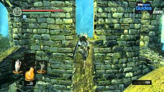 Dark Souls Walkthrough  How to Go Back to the Undead Asylum Part 019  WikiGameGuides [upl. by Atelra]