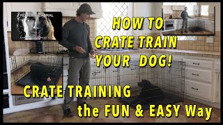 CRATE Training Your Dog  EVERYTHING You Need to Know to Get YOUR DOG to LOVE the CRATE [upl. by Annoya]