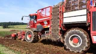 BEET HARVESTER  Rübenernter Holmer Terra Dos T3 2013 [upl. by Accebar]