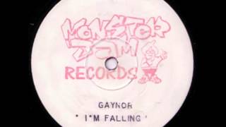 Gaynor  Im Falling Mix 2 [upl. by Ntsyrk]