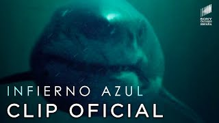 INFIERNO AZUL  ¡Tiburón  CLIP en ESPAÑOL  Sony Pictures España [upl. by Yeltnarb]