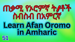 በTiktok ላልተከታተላችሁኝ ምርጥ የኦሮምኛ ትምህርቶች በአማርኛ Afan Oromo in Amharic afaanoromoo fikremartube [upl. by Ahsinaj]