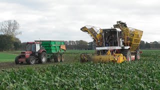 Beet harvest with Beumaco [upl. by Tinya]