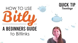 How to Use Bitly Beginners Guide to Bitlinks [upl. by Anihtyc]