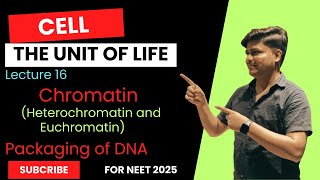 lecture 16 Chromatin Heterochromatin and Euchromatin and Packaging of DNAneet2025 neetbiology [upl. by O'Reilly]