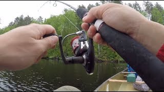 WayTooEasy Walleye Fishing on Sawbill Lake BWCA [upl. by Zachery]