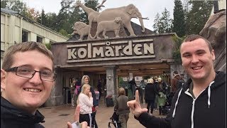 Kolmården Vlog September 2017 [upl. by Nywrad802]