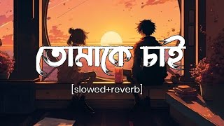 তোমাকে চাই slowed and reverb  arijit singh  LEGEND LOFI [upl. by Dona]