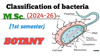 Classification Of Bacteria  Microbiology MSc First Semester VBSPU Biolife🔥 [upl. by Oluas]