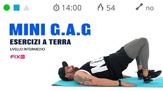 Esercizi Per Gambe Addominali e Glutei Allenamento Veloce GAG [upl. by Agretha69]