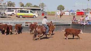 Willinga at Juandah Plains Campdraft Day 1 Session 2 [upl. by Thebazile615]