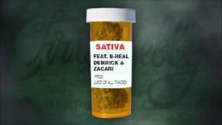 Chris Webby  Sativa feat BReal Demrick amp Zacari [upl. by Iliak]