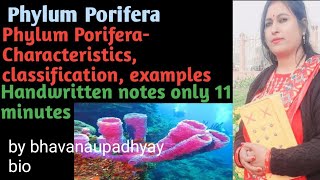 porifera poriferacharectersclassification sponge [upl. by Innad]