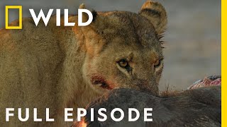 Savage Kingdom A New Dynasty Full Episode  National Geographic [upl. by Dorothea]