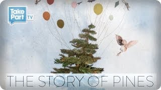 The Story of Pines from Alison Sudol  Participant Media  TakePart TV [upl. by Anibur]