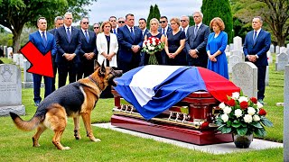 Le Chien Aboie Furieusement Devant le Cercueil de son Maître Quand Ils lOuvrent la Foule Crie [upl. by Moorish]