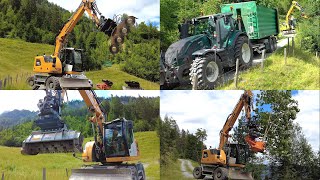 LUDengg Wegerhaltung  Forstarbeit Forst Mulcher Liebherr Valtra Oilquick FAE AXER treeshear [upl. by Theda]