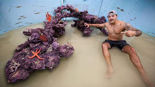 Building a REEF inside My SHARK POND [upl. by Nomal]