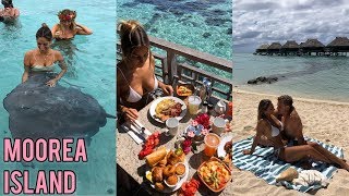 TahitiMoorea Island Vlog [upl. by Ahsiken]