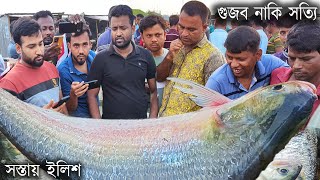 কেউ কোনদিন ভাবে নাই পদ্মার ইলিশ এত সস্তায় পাওয়া যাবে  today hilsa fishmarket in padma river [upl. by Ecraep]