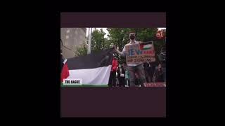 FREE PALESTINE  STOP ANTISEMITISM TW [upl. by Atikat796]