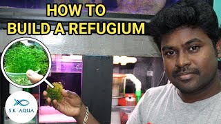 How to Set Up a Refugium Harvesting Macroalgae To Reduce No3 amp Po4 Tamil  SK Aqua  SK Aquatic [upl. by Thevenot69]