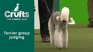 Group Judging Terrier and Presentation  Crufts 2023 [upl. by Hayne]