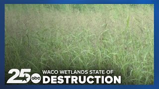 Lake Waco Wetlands in state of destruction as the area celebrates its 20th anniversary [upl. by Naziaf]