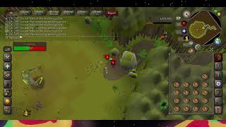 OSRS F2P Bryophyta Kill 1 Defence 1 Prayer Pure Guide [upl. by Yngad]