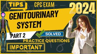 CPC Exam Genitourinary System Practice Questions  Medical Coding [upl. by Freddie]