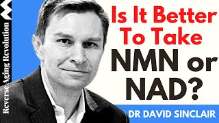 IS IT BETTER TO TAKE NMN OR NAD  Dr David Sinclair Interview Clips [upl. by Orlan]