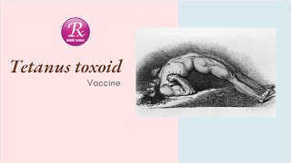 Tetanus Vaccine also known as Tetanus Toxoid TT Mostly useful information about this Vaccine [upl. by Bostow718]