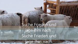 Jahreslosung 2019Suche Frieden und jage ihm nachPsalm 3415Lied [upl. by Pembroke]