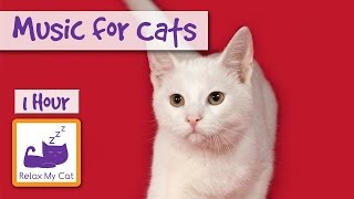 1 Hour of Music for Cats  Relax your Cats and Send them to Sleep CATS LOVE THIS MUSIC [upl. by Ykcir]