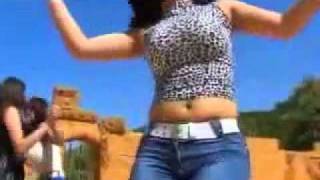 Raqsi arab Arabic Dance Plan B 2010 shazi raqs رقص جديد [upl. by Emya]