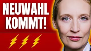 ⚡ ALICE WEIDEL KÜNDIGT NEUWAHLEN AN⚡ [upl. by Child]