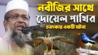 নবীজির সাথে দোয়েল পাখির চমৎকার একটি ঘটনা । তোফাজ্জল হোসেন ভৈরবী । Tofazzal hossain  Bangla Waz [upl. by Goddord171]