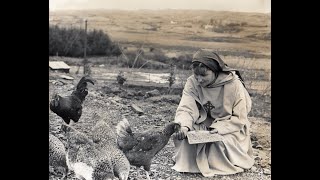 Sister Irene RTE 1992 Hermit A Humble Beginning [upl. by Derfnam541]