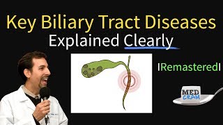 Key Biliary Tract  Cholestatic Diseases amp Labs Explained [upl. by Daphne384]