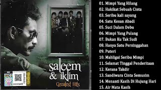 Mimpi Yang Hilang  Full Album Saleem Iklim Greatest Hits [upl. by Eberto366]