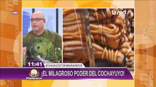 El milagroso poder del cochayuyo [upl. by Torrlow]