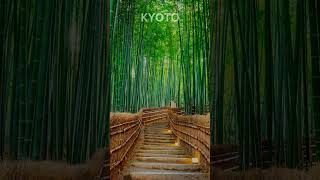 Lost in the enchanting world of Kyoto travel adventure explore flights drone kyoto japan [upl. by Nagud]