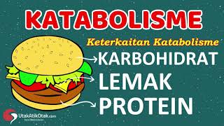 Katabolisme Karbohidrat Protein dan Lemak  Materi Biologi Kelas 12 [upl. by Araihc]