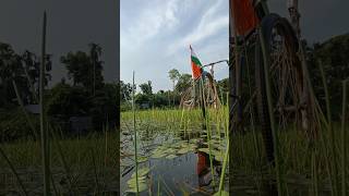 AB tumhare hawale watan15august JyotivloOg viralvideos [upl. by Rehpetsirhc]