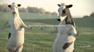 Back that up to the beat sped up Cows dance [upl. by Eolanda]