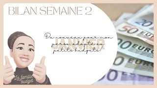 Du nouveau adapté aux petits budgets Bilan de la semaine 2 du mois de Janvier [upl. by Rafaelof734]