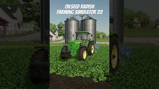 Oilseed radish  farmingsimulator22 fs22 shorts [upl. by Simonette78]