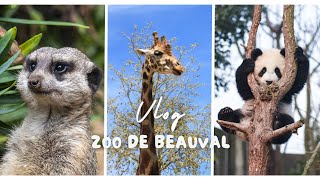 Zoo de Beauval  2 jours dans le parc [upl. by Notyap366]