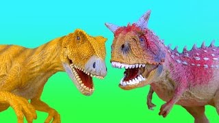 Dinosaur Fight ALLOSAURUS vs CARNOTAURUS Battle ไดโนเสาร์ 공룡 SuperFunReviews [upl. by Narhet]